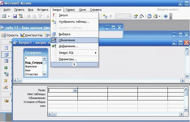 Запросы MS access. Бланк запроса поля. Пароль в access. Виды запросов в MS access. Access формы запроса