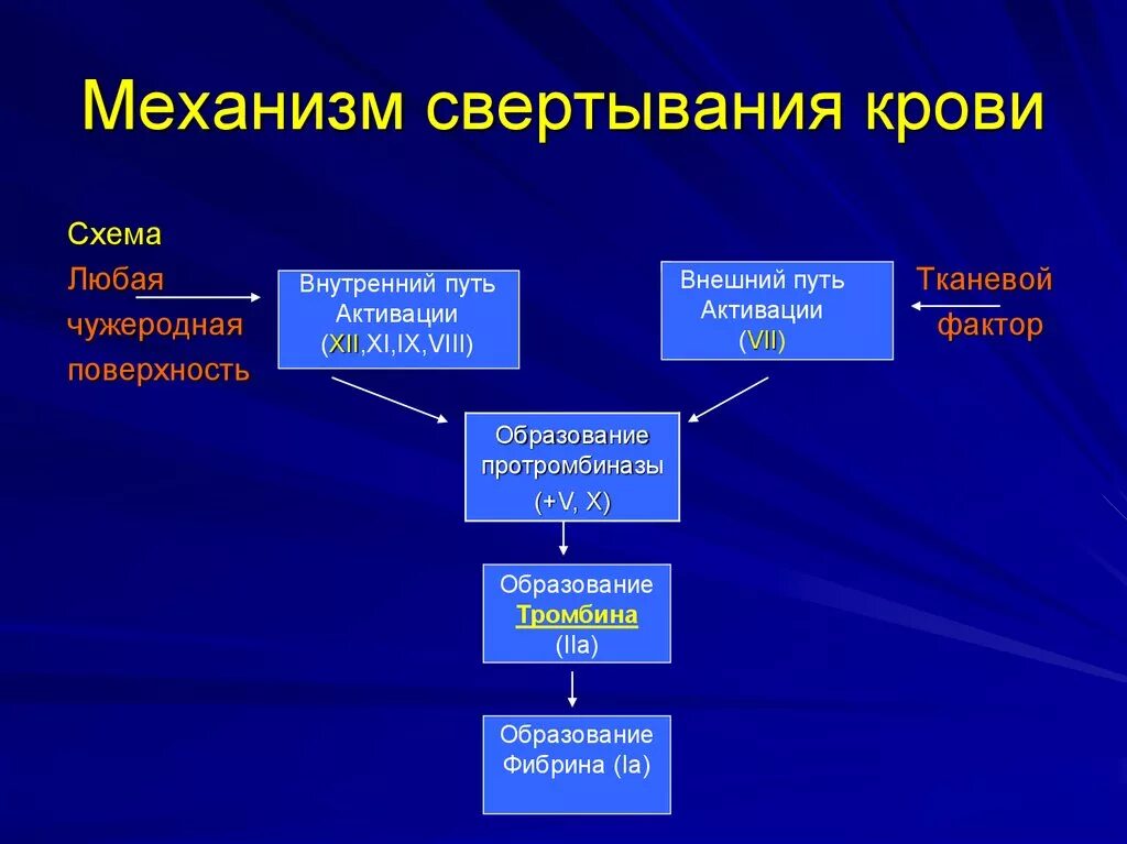 Механизм свертывания крови кратко. Опишите механизм свертывания крови. Внутренний механизм свертывания крови кратко. Механизм активации факторов свертывания крови.