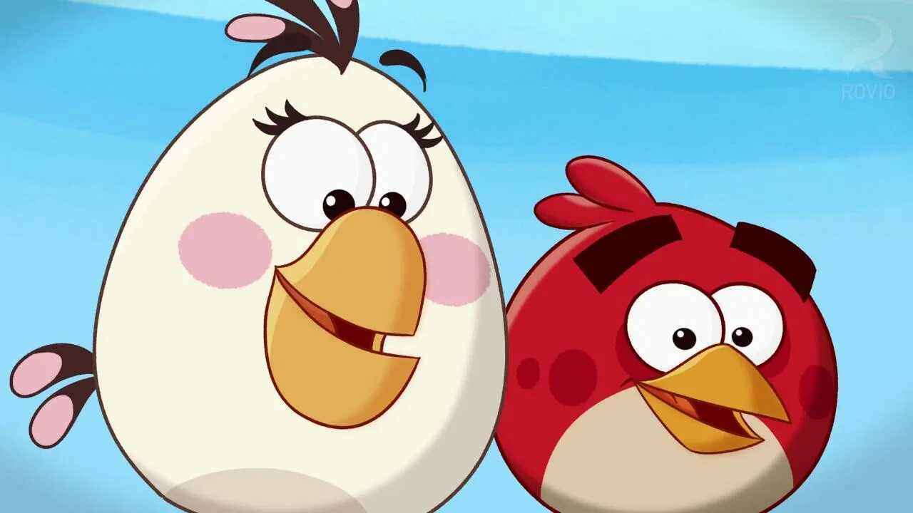 Angry birds toons episode. Angry Birds toons. Angry Birds икота.