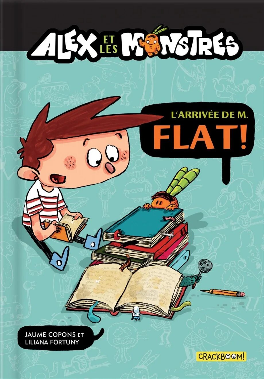 Mr flat