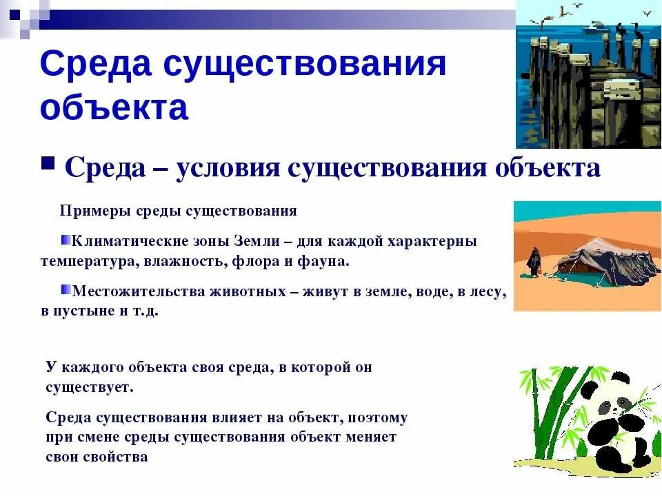 Объект учебного предмета окружающий мир. Объект исторического содержание. Историко-обществоведческого понятия. Особенностями современного предмета «окружающий мир» являются:. Особенности курса окружающий мир.