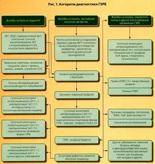 Номер стола при гэрб
