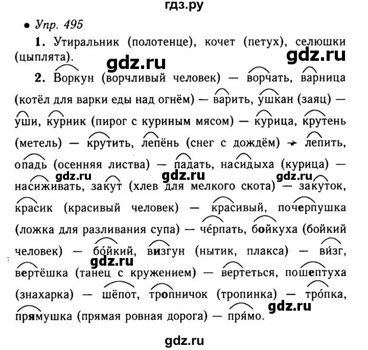 495 упражнение по русскому языку 5