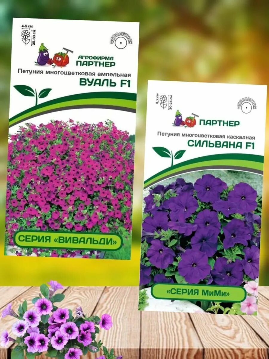 Петуния букле f1 многоцветковая махровая. Петуния партнер ред пикоти. Партнер семена петуния вуаль. Петуния тайдел вэйв черри f1 многоцветковая ампельная. Альбертина петуния партнер.