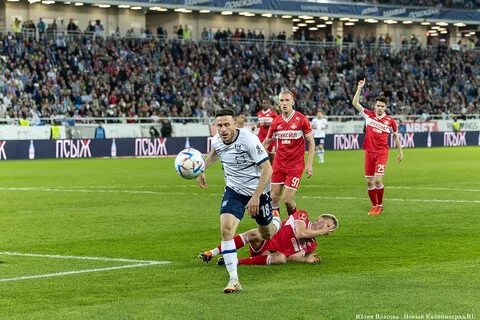 Калининград матч сегодня