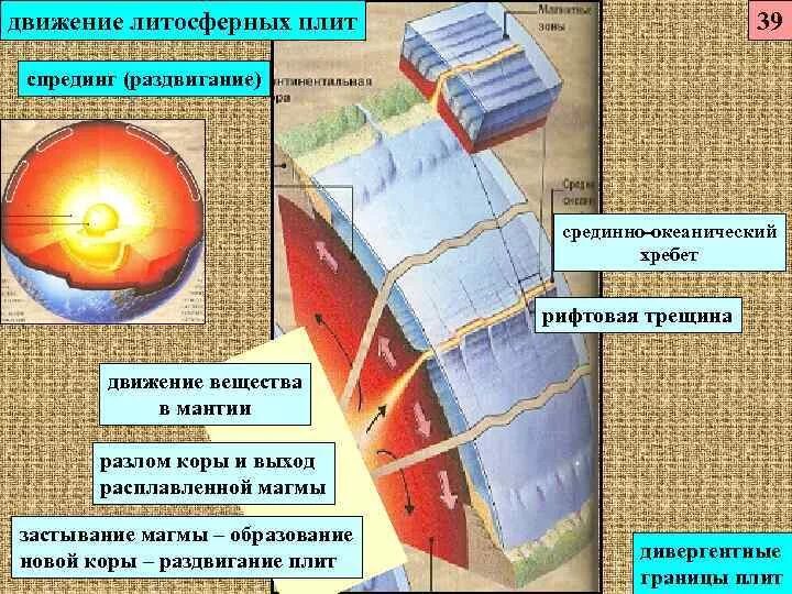 Литосферная теория. Движение литосферных плит. Движение Лито сфернвх РЛИТ. Движение плит литосферы. Почему происходит движение плит.