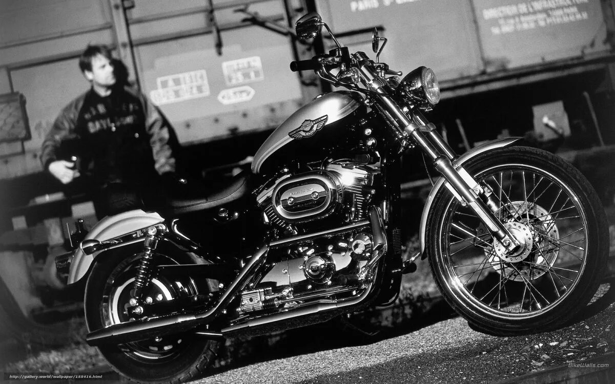 Harley davidson service. Харлей дэвидсон мотоциклы. sportster xl1200c. харлей дэвидсон белый мотоцикл. harley davidson xl1200c.