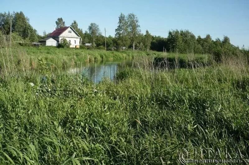 Деревня Ивановка Гатчинский район. Мыза Ленинградская область Гатчинский район. Деревня Мыза Гатчинского района. Мыза-Ивановка Гатчинский район.