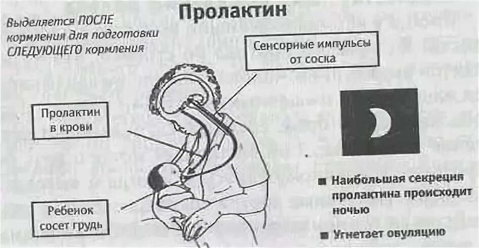 Трещины при вскармливании