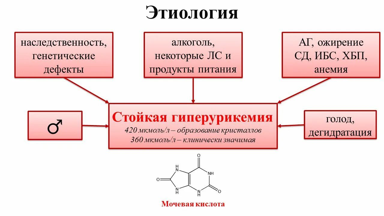 Мочевая кислота в крови какой врач. Механизм развития подагры схема. Этиология и патогенез подагры схема. Подагра этиология. Этиология подагры схема.