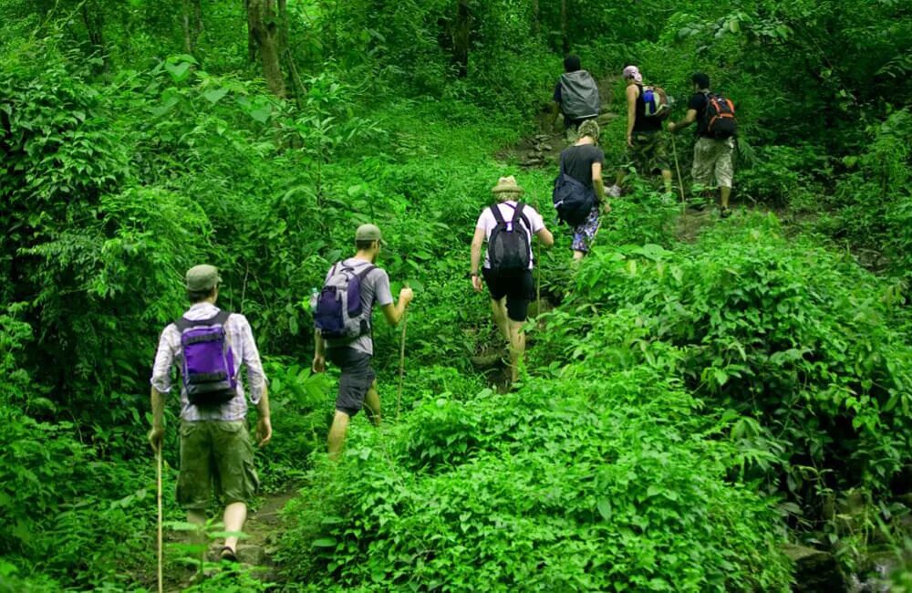 Tourism ecotourism. Туристы в лесу. Туризм в лесу. Экскурсия в лес. Туристы в джунглях.