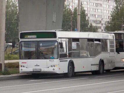 Автобус 242 спб