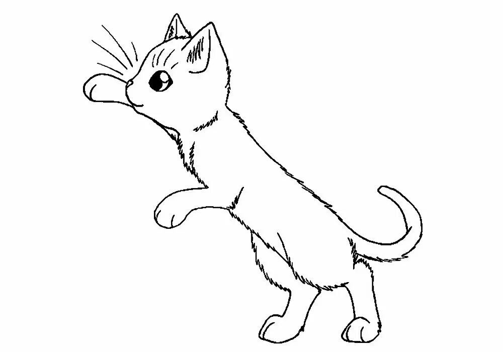 Как нарисовать стоящего котика. Как нарисовать стоящего котика