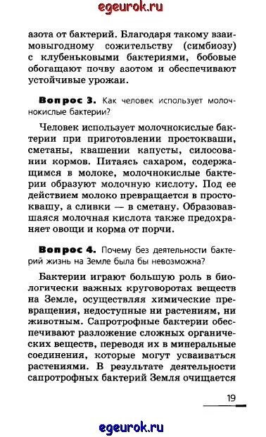 Почему без деятельности бактерий. Почему без деятельности бактерий жизнь на земле. Почему жизнь на земле невозможна без бактерий. Почему без деятельности бактерий жизнь была невозможна?.