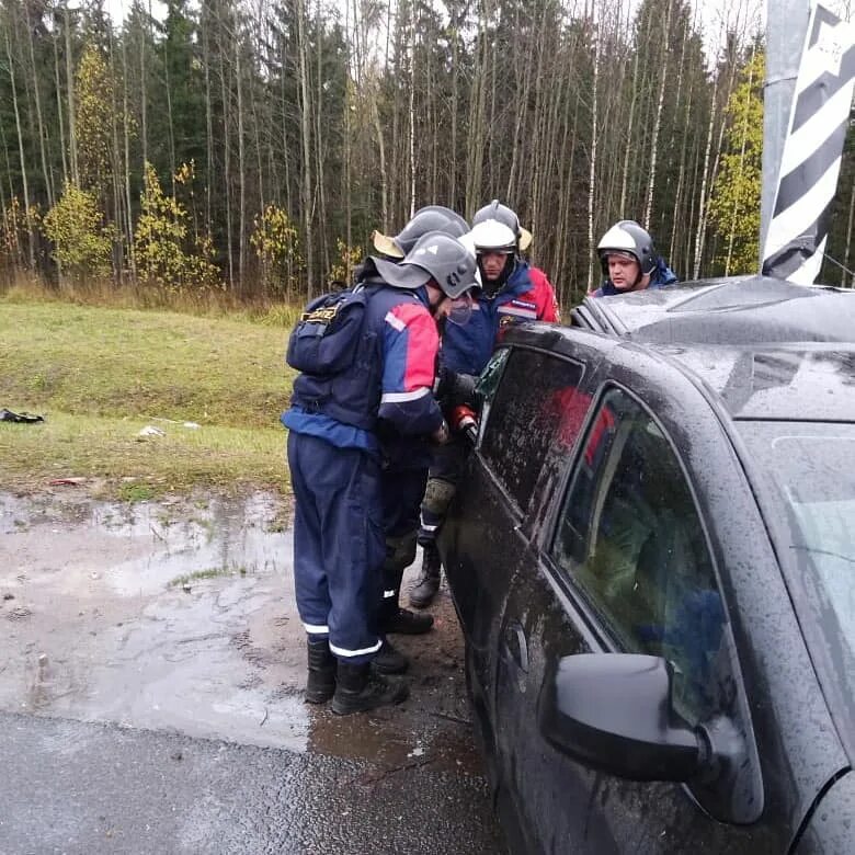 В тосно сбили двух девочек. Авария в тосненском районе. Азнауров андрей ашотович великий новгород. Дтп всеволожский район. Тосно происшествия сегодня.