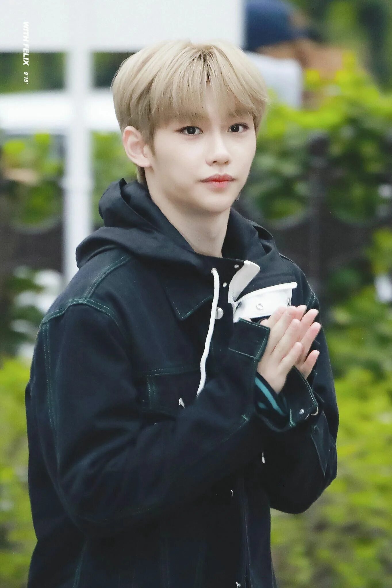 Какая ориентация у феликса. Феликс stray. феликс стрейкидс. stray kids феликса. lee felix stray kids.