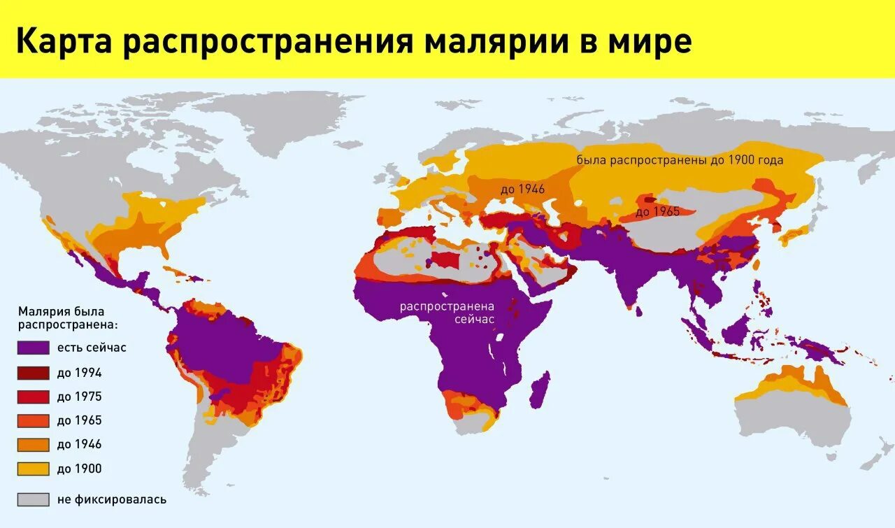 Где есть данные. Карта распространения малярии. Малярия карта распространения 2021. Малярия распространение в мире. Малярия карта распространения 2020.