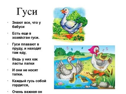 Гусь загадка 1 класс