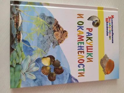 Книга ракушек