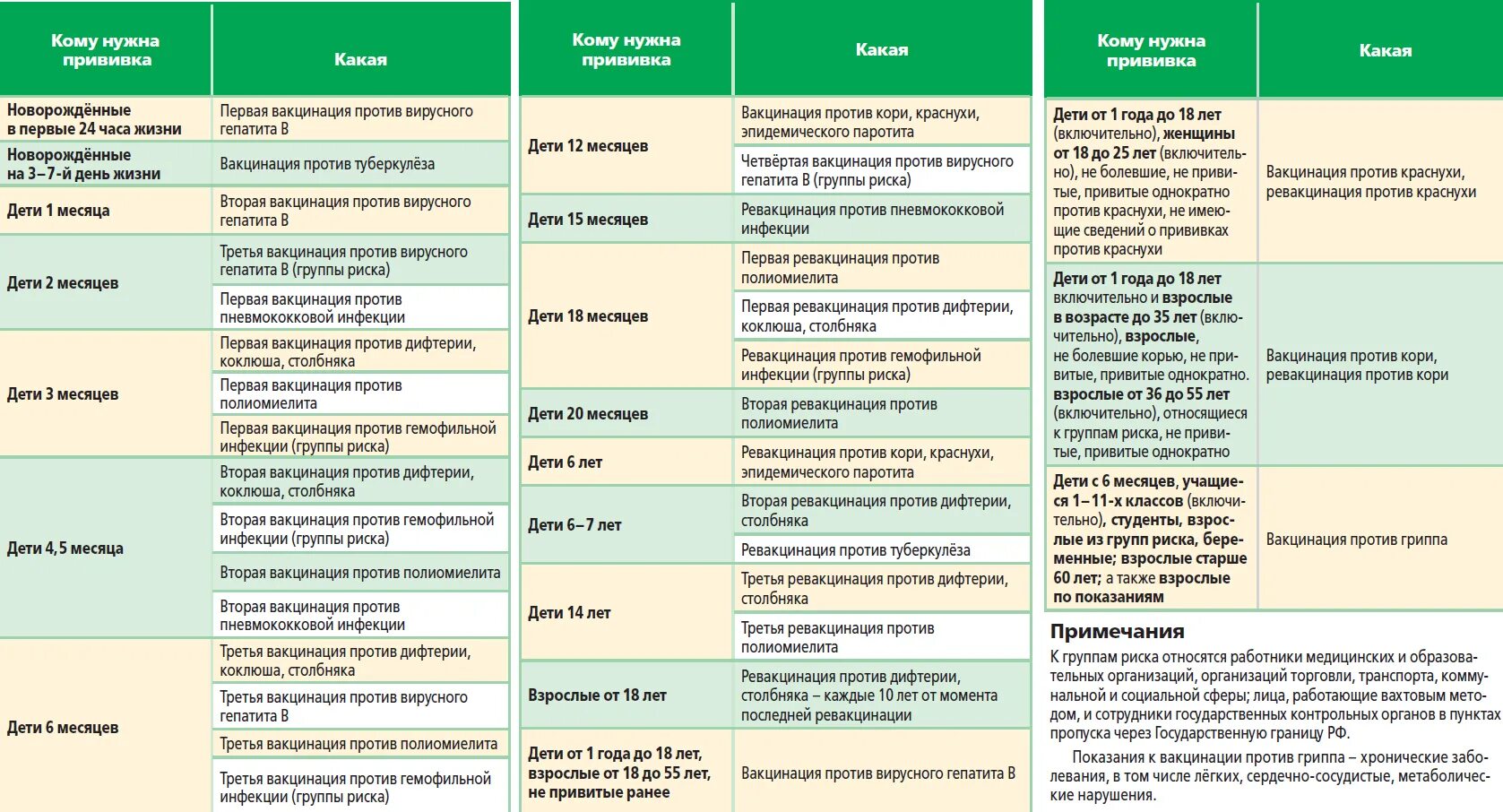 Какие прививки надо взрослым. Календарь прививок для детей в России 2021 национальный календарь. Национальный календарь прививок 2021. План прививок. Профилактические прививки по календарю.
