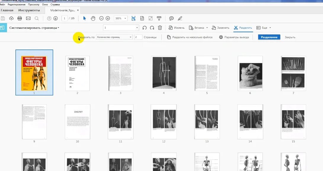 Разбить страницы. Adobe разделить страницы. Акробат Разделение страниц. Разделение pdf. Разделить сканы страниц.