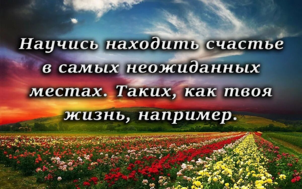Найди свое счастье. Счастье есть. Высказывания о счастье. Счастье есть. Счастье в простом цитаты.
