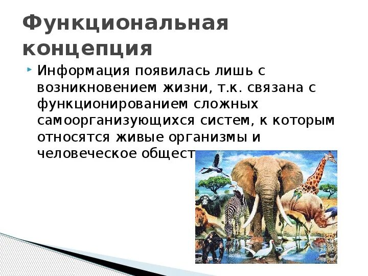 Это связано с появлением новых. Функциональная информация. Функциональная концепция. Функциональная концепция информации примеры. Функциональная информация это в информатике.