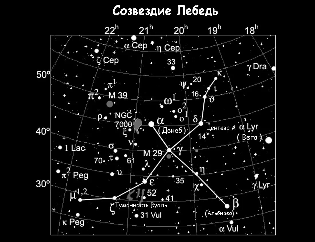 Созвездие 2024г. Денеб звезда в созвездии лебедя. Схема созвездия лебедь самая яркая звезда. Созвездие Денеб схема. Созвездие лебедь координаты звезд.