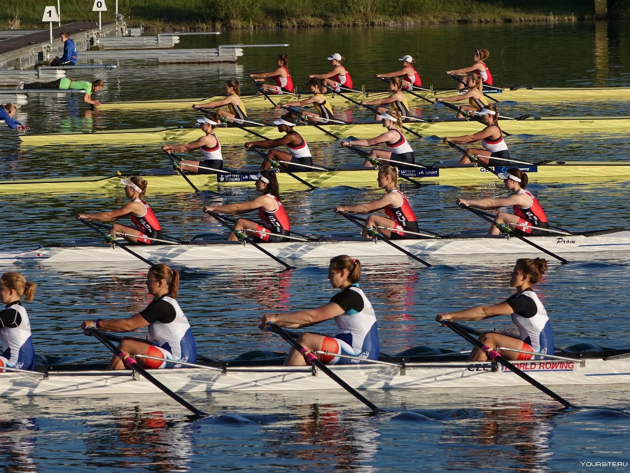 Джо ранц гребля. Академическая гребля mx8+. Соревнования по гребле.