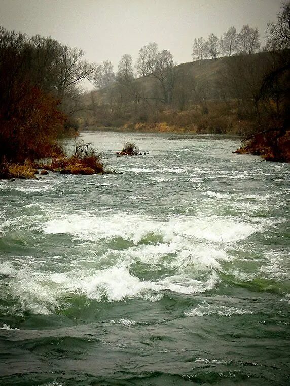 Очень сильные течения. Быстрая река. В течении реки. Сильное течение реки. Река с быстрым течением.