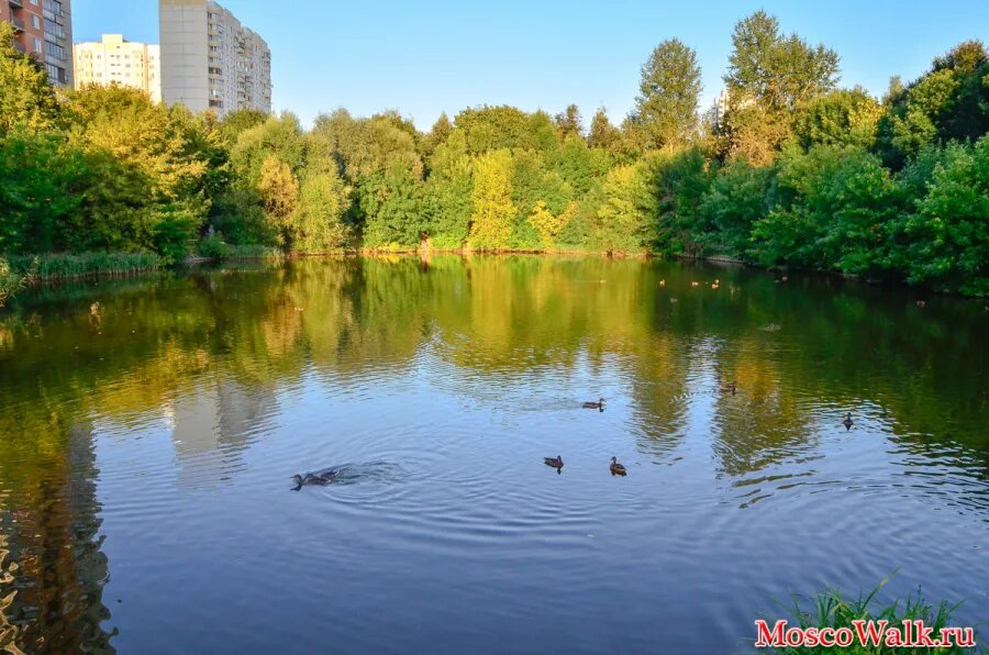 Парк Каскад кировоградских прудов. Кировоградские пруды Москва. Народный парк Нижний Бирюлевский пруд Москва. Чертановские пруды Кировоградская. Кировоградские пруды