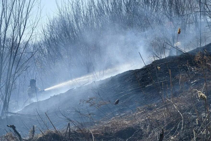 Новости курган 45 последние видео сегодня. Пожар в энергетике. Пожары в Курганской области сегодня. Сгоревший лес Курган. Кропани пожар Курганская область.