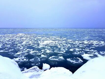 Белое море арктическое море