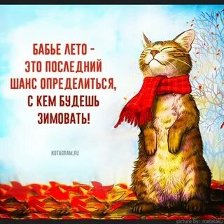 Бабье лето цитаты и афоризмы