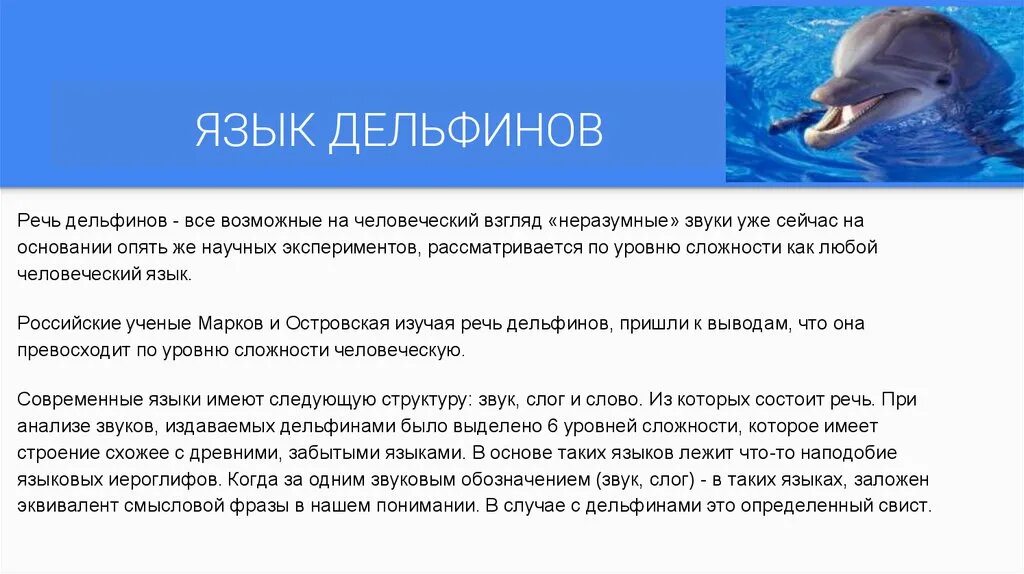 Дельфин какой звук. Речь дельфинов. Дельфины язык. Язык общения дельфинов. Язык дельфинов учить.