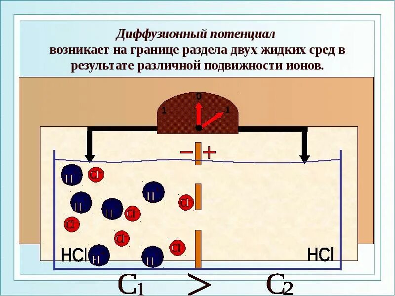 Диффузионный потенциал. Диффузный и мембранный потенциалы. Диффузный потенциал. Диффузионный потенциал возникает.