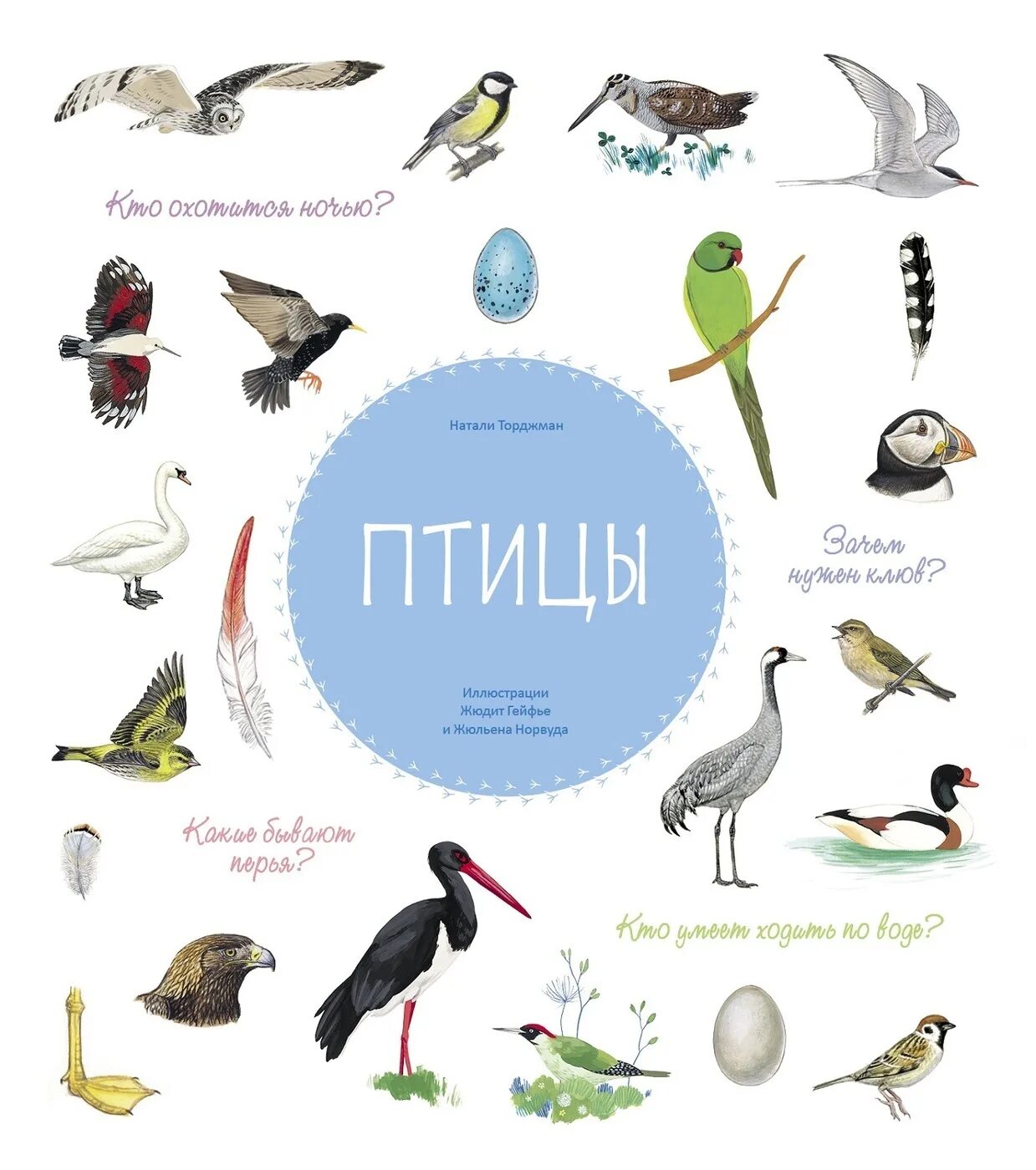 Птицы какой жанр. Издательство стрекоза птицы. книги о птицах. птица на н. книга птицы издательство стрекоза.