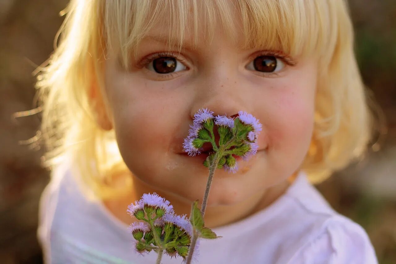Растения для детей. Нюхает цветы. Ребенок нюхает цветок. Девочка нюхает цветок.