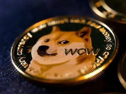 День doge