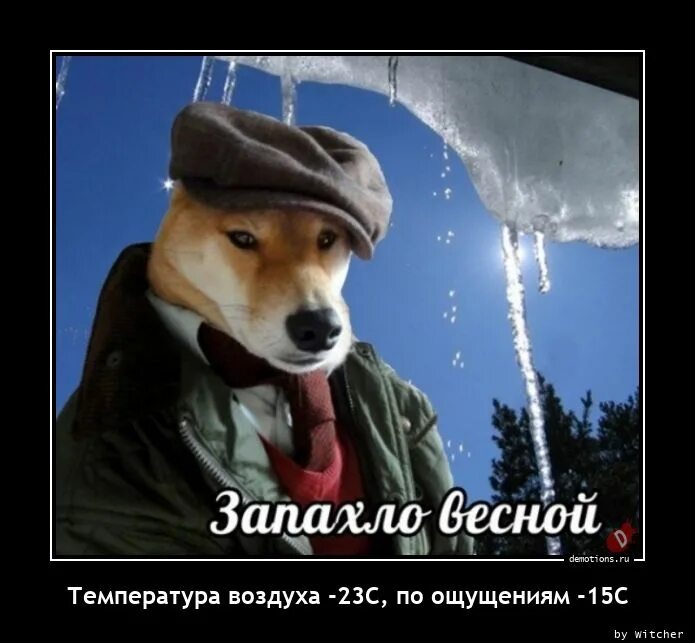 15 ощущается