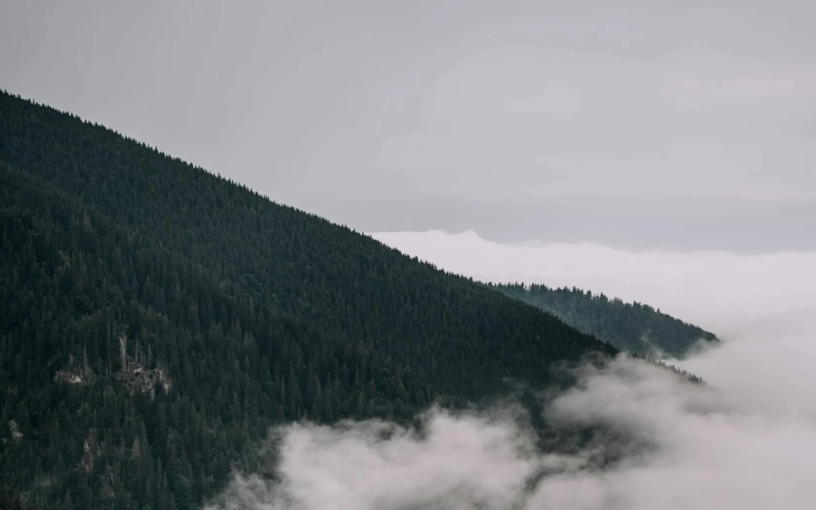 Гора манарага туман. Туманный пейзаж. Туман склонов. Горный лес в тумане. Туман.