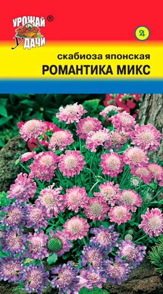 Скабиоза купить семена. Скабиоза многолетняя семена. Скабиоза мечта флориста. Скабиоза японская семена. Скабиоза японская романтика микс.