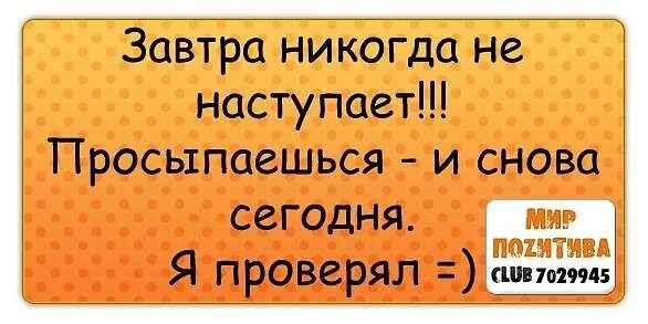 Она еще не наступила. Смешные коты с надписями. Мемы про весну. Книга вчера. Завтра никогда не наступит просыпаешься и снова сегодня.