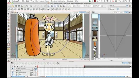 Toon boom animate
