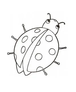 Божья коровка раскраска