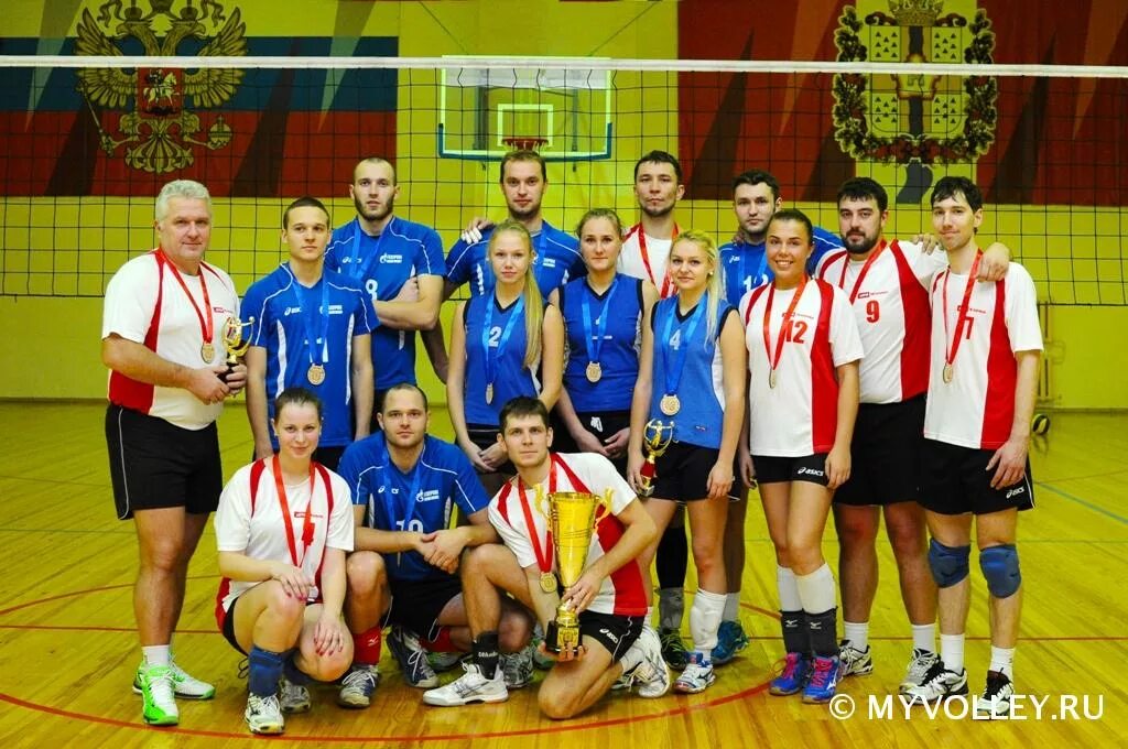 Чемпионат по волейболу. Чемпионат по волейболу. Волейбольные лиги новосибирска. Волейбольные лиги новосибирска. Волейбольные лиги новосибирска.