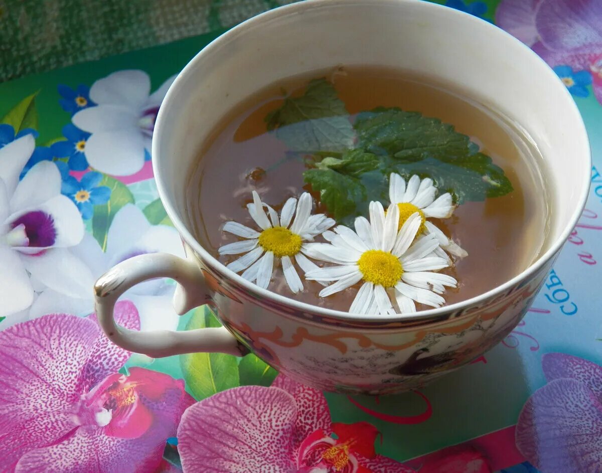Чай "Ромашка". Чай из ромашки. Травяной чай из ромашки. Чай с мятой. Ромашка вместо чая