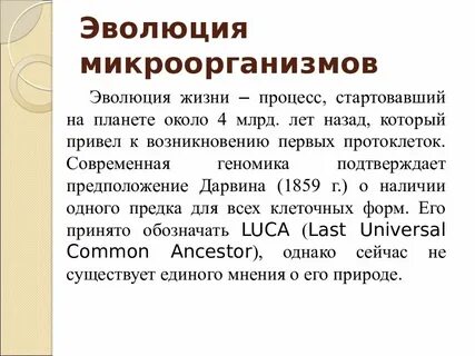 Развитие микробов
