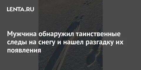 Таинственные следы приманка