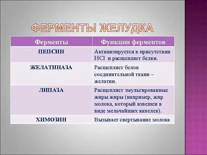 Фермент слюны расщепляющий белок. Функции пепсина в организме человека. Фермент пепсин функция. Пепсин расщепляет. Пепсин функции в организме.